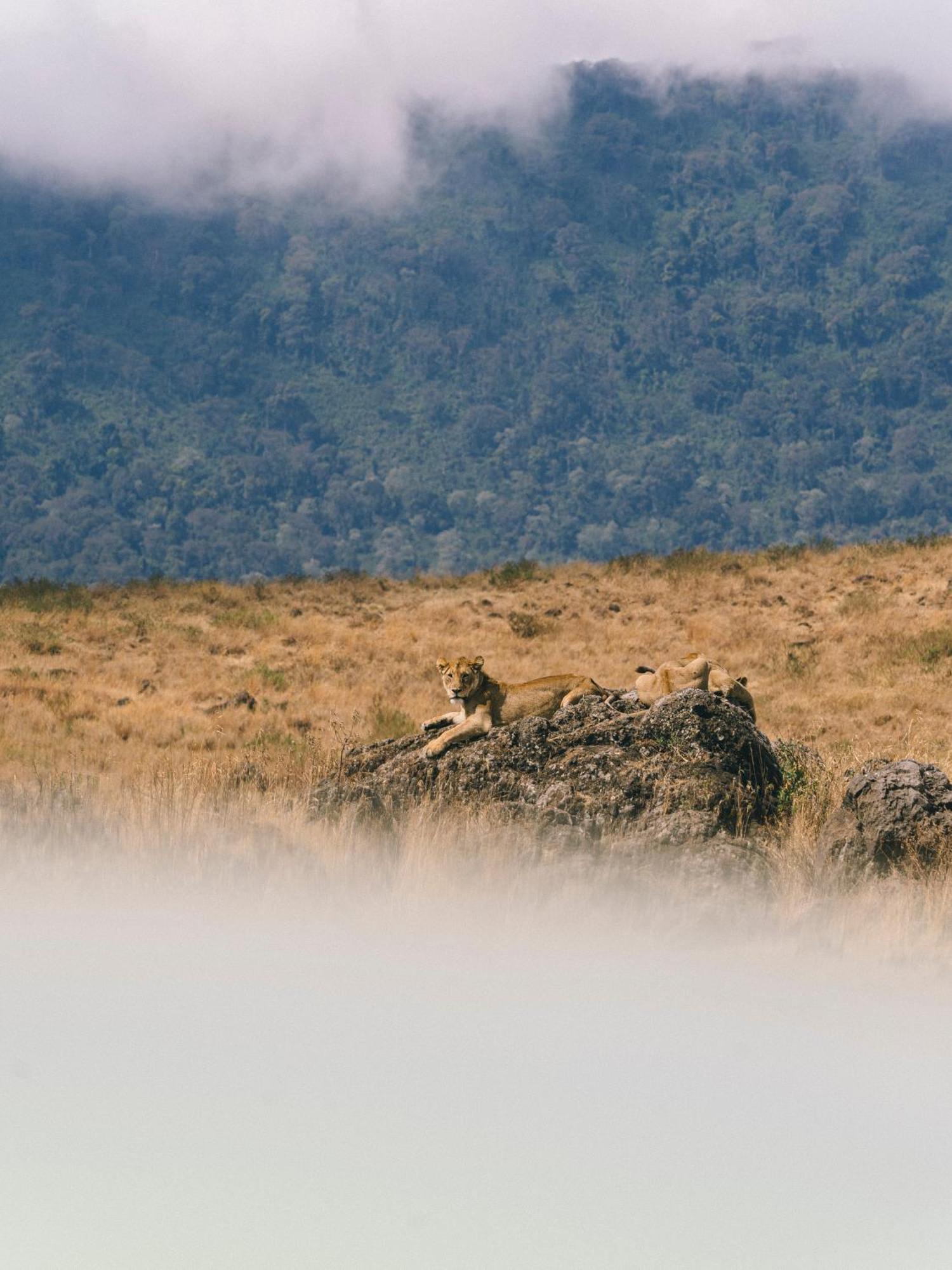 Ngorongoro Lodge Member Of Melia Collection - The Leading Hotels Of The World Exterior photo