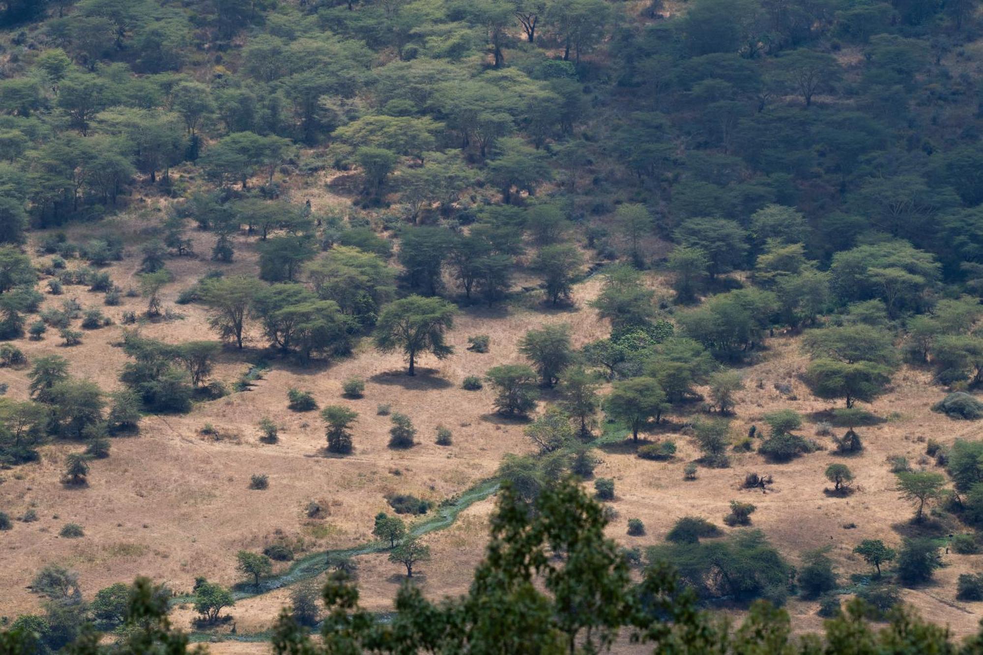 Ngorongoro Lodge Member Of Melia Collection - The Leading Hotels Of The World Exterior photo
