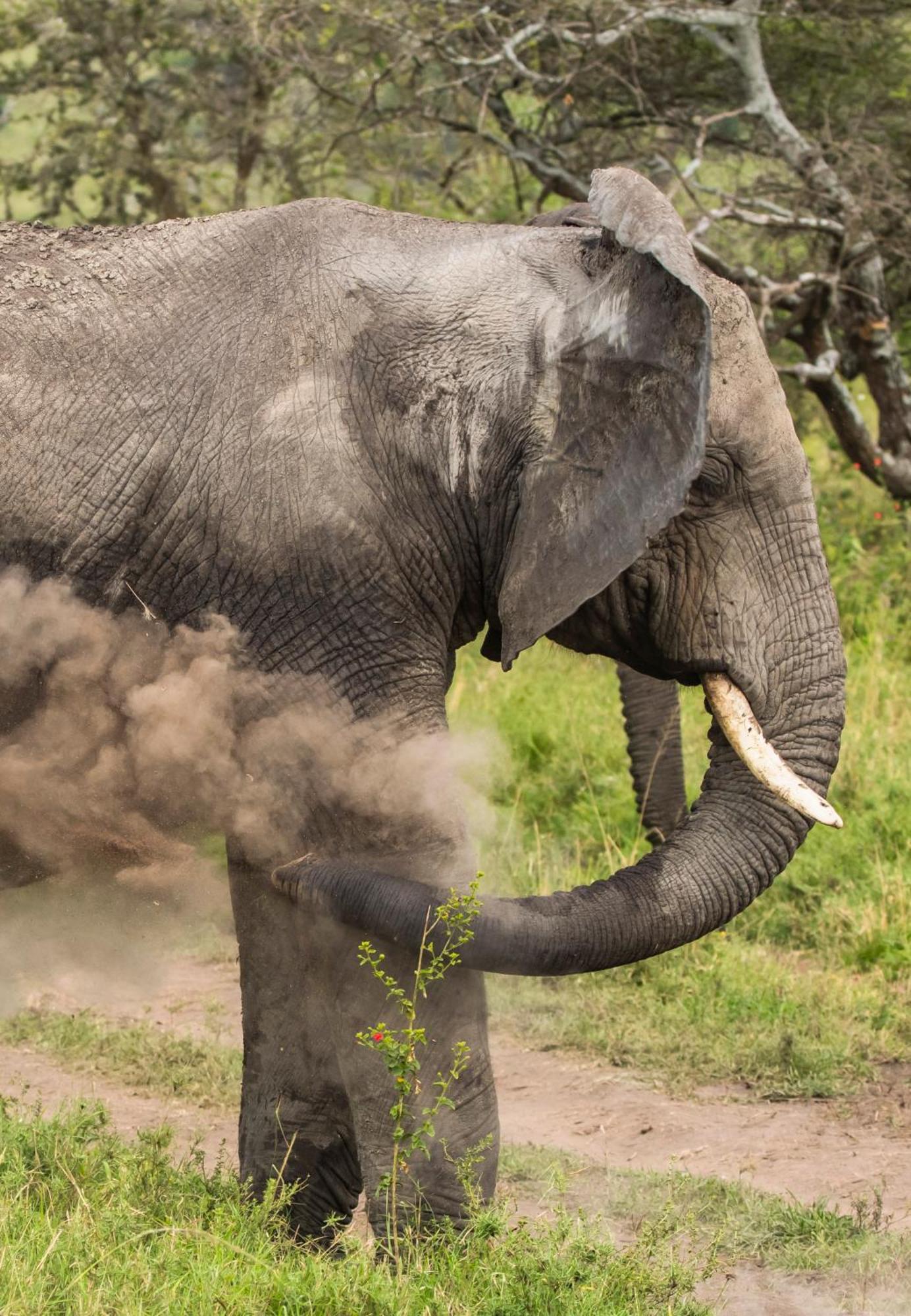 Ngorongoro Lodge Member Of Melia Collection - The Leading Hotels Of The World Exterior photo